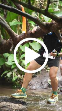 BIB:  <button type="button" onclick="openModal(27825459)" class="btn btn-primary btn-sm float-right" data-toggle="modal" data-target=".modal-high-quality">
                <i class="fa fa-download"></i> Download
                </button>